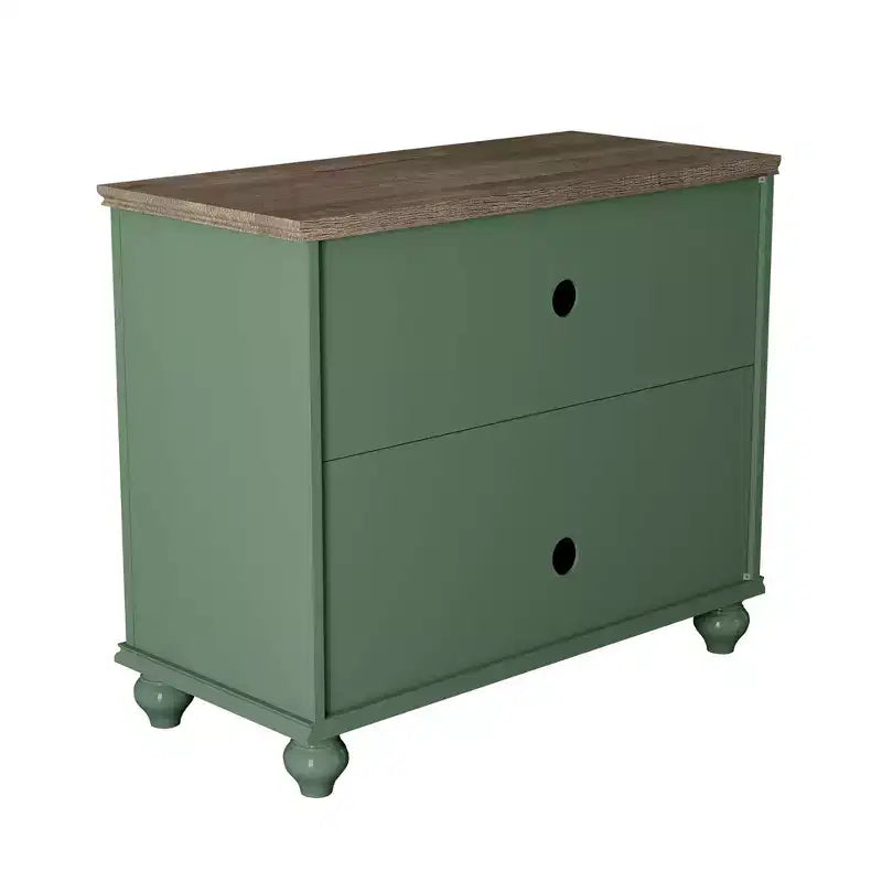 Green/Navy Vintage 2-Door Accent Cabinet, 1-Shelf, for Adults